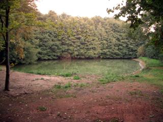 Bild 1 - Junggesellenabschied von Daniel