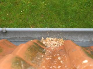 Bild 46 - Kegeltour 2004