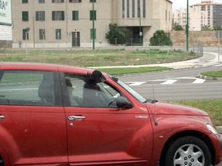 Bild 65 - Kegeltour nach Malle