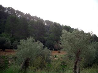 Bild 72 - Kegeltour nach Malle