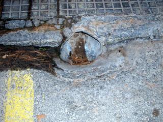 Bild 104 - Kegeltour nach Malle