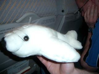 Bild 169 - Kegeltour nach Malle