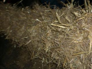 Bild 16 - Martins 30. Geburtstag