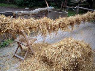 Bild 2 - Svens 30. Geburtstag